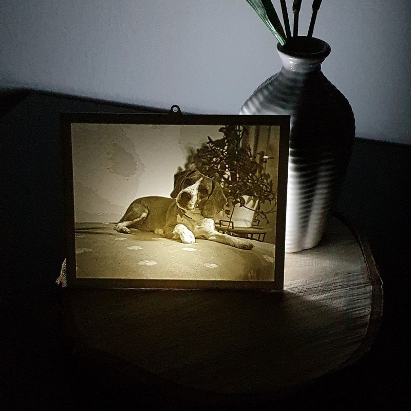 3d vytisknutá fotografie 3d vytisknutá fotografie